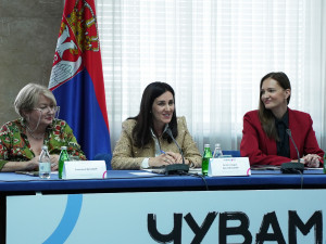 Одржан Округли сто националне платформе за превенцију насиља које укључује децу "Чувам те"